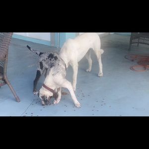 Meet your Posher, Barbara